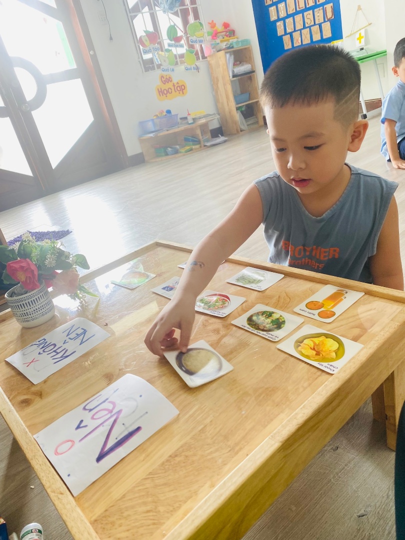 Chương trình học