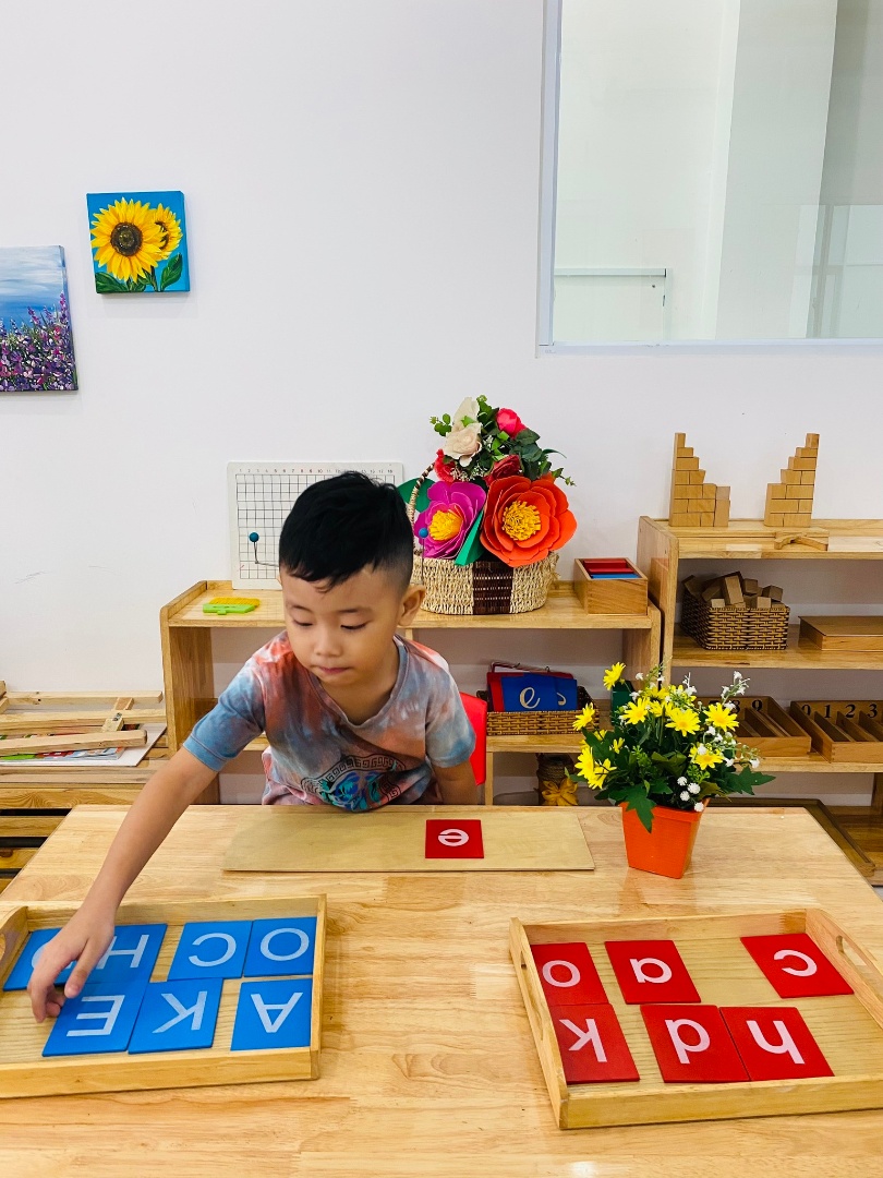 Chương trình học