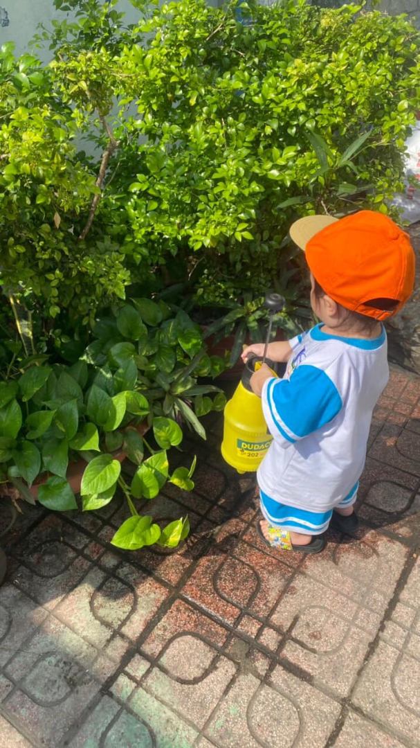 Chương trình học