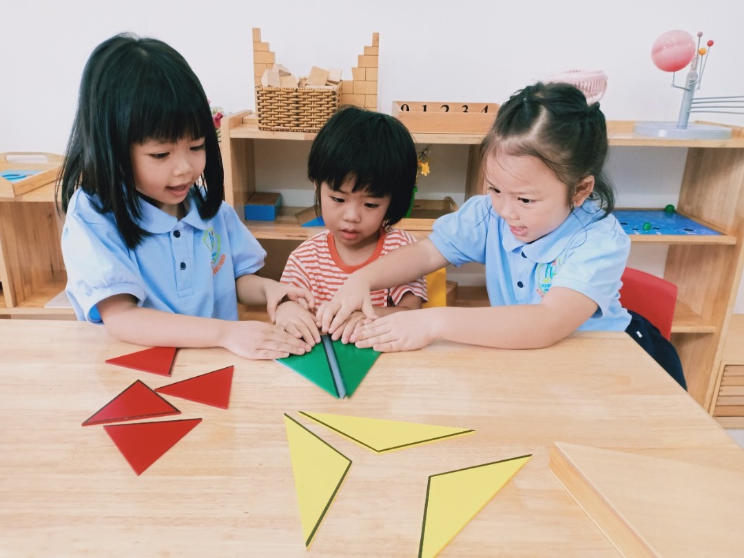 Chương trình học