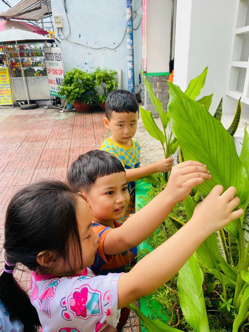 Chương trình học