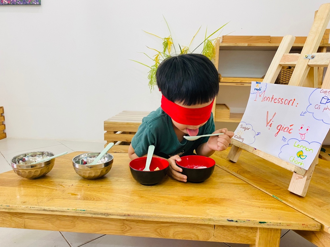 Chương trình học