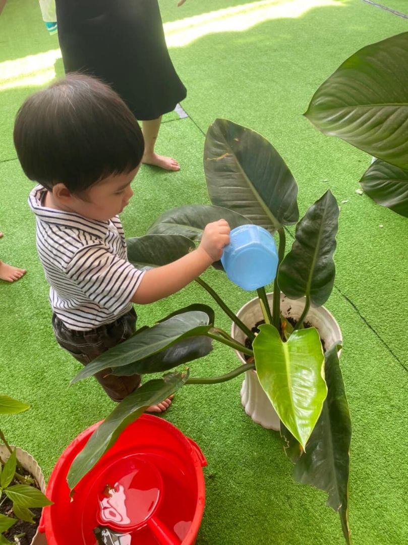 Chương trình học