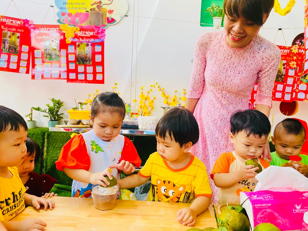 Chương trình học