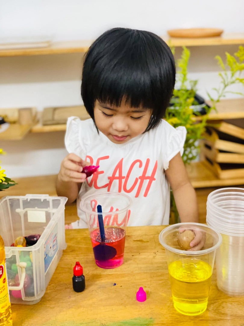 Chương trình học