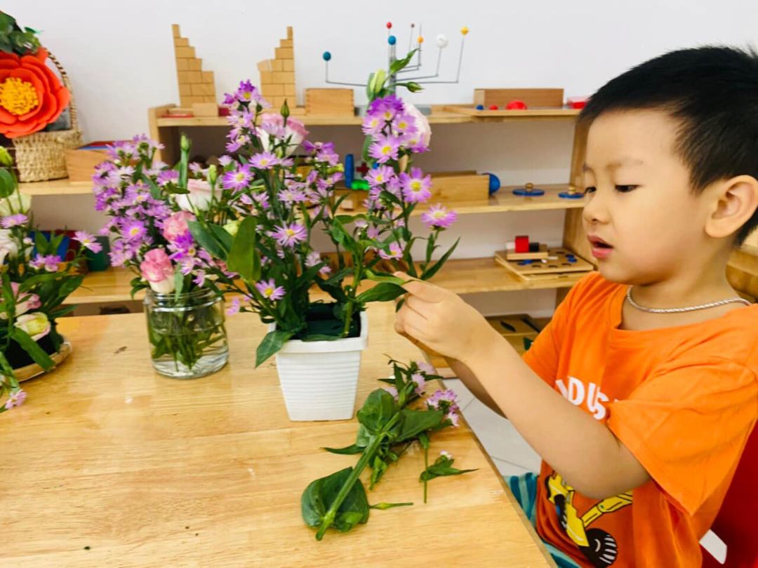 Chương trình học