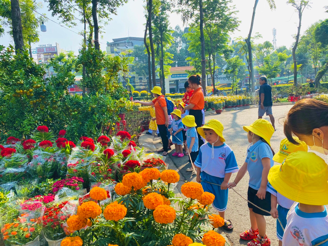 Chương trình học