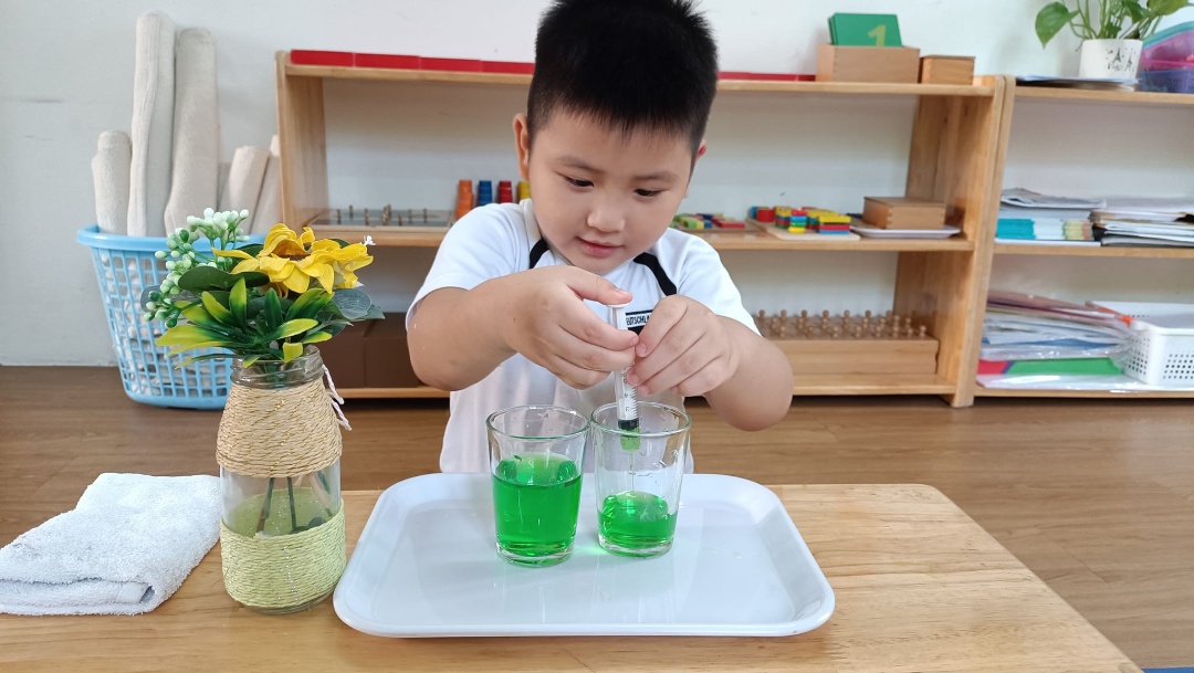 Chương trình học