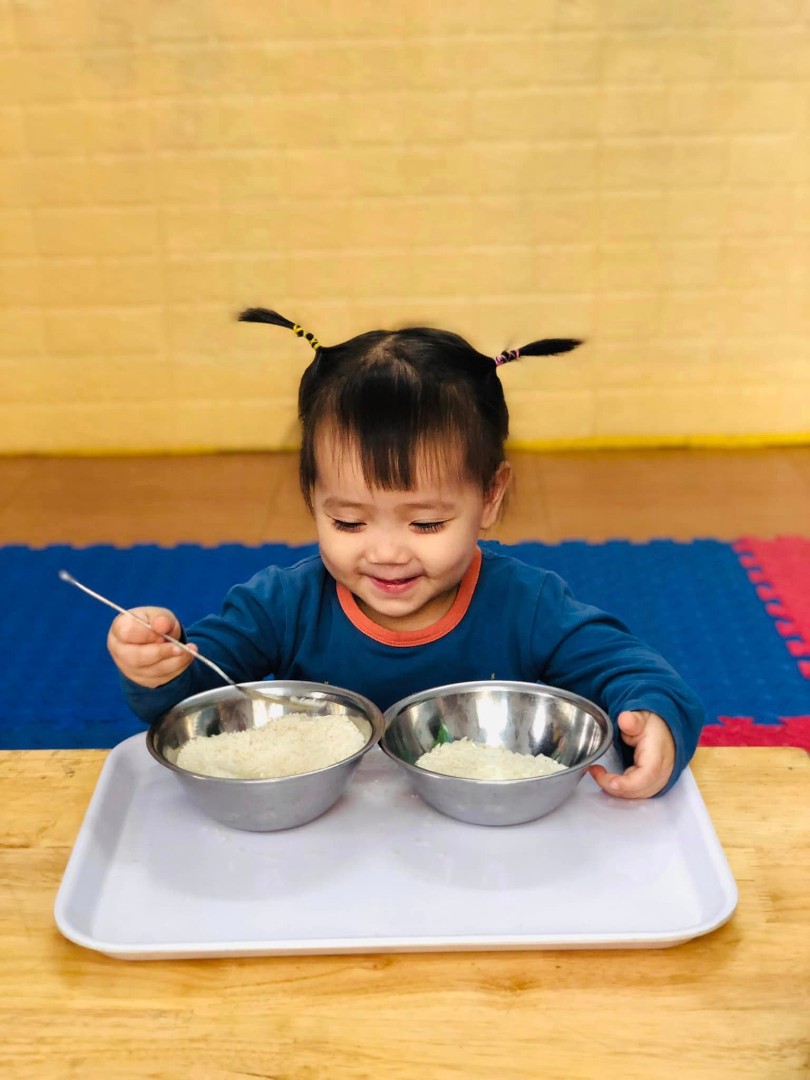 Chương trình học