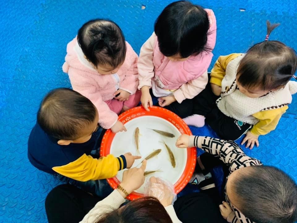 Chương trình học