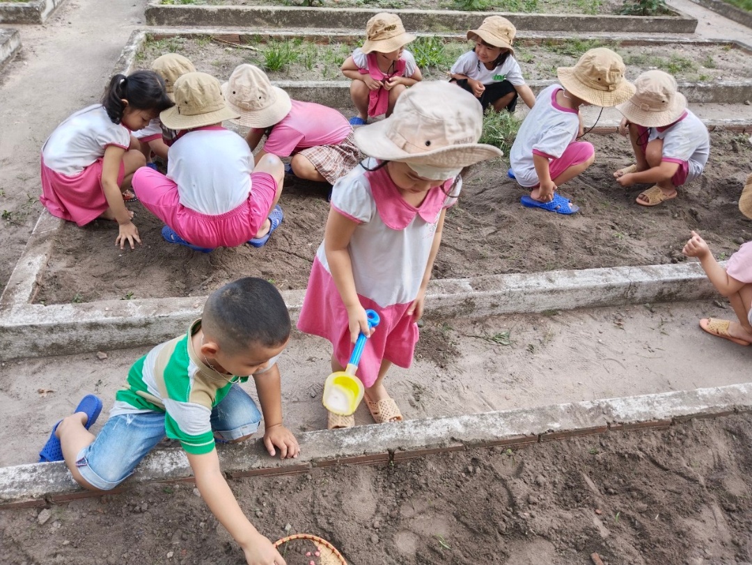 Chương trình học