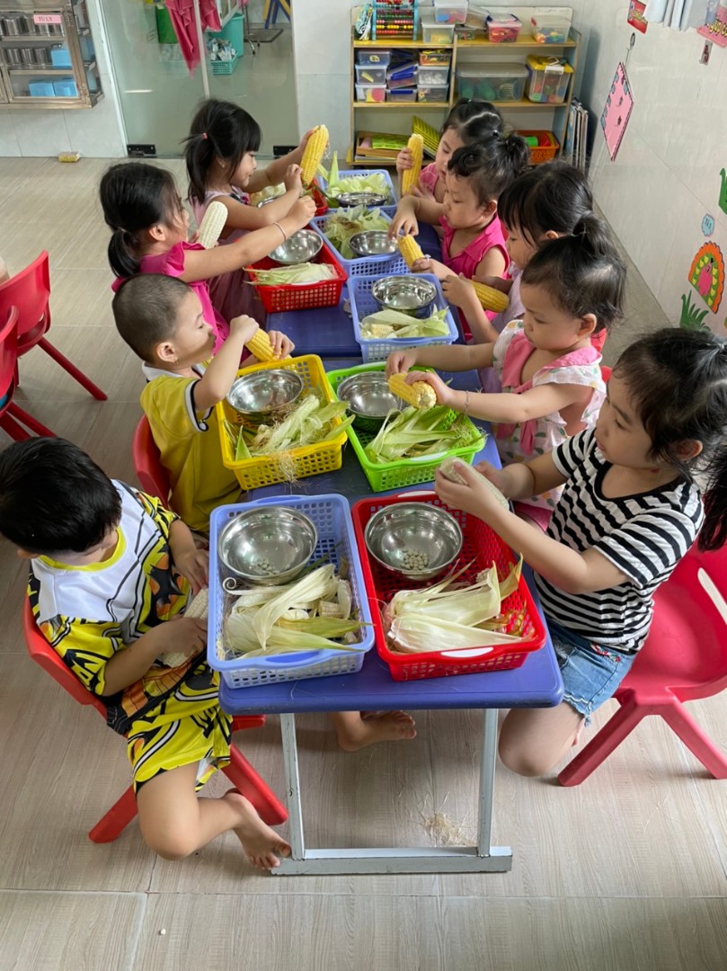 Chương trình học