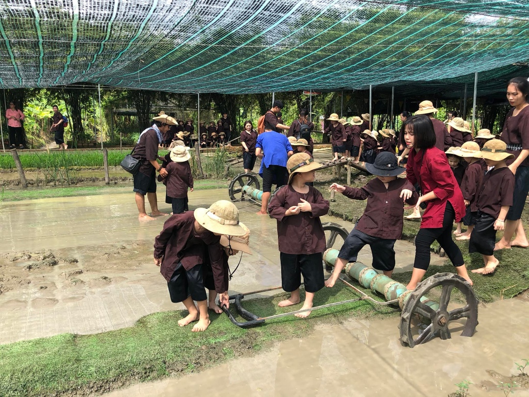 Chương trình học