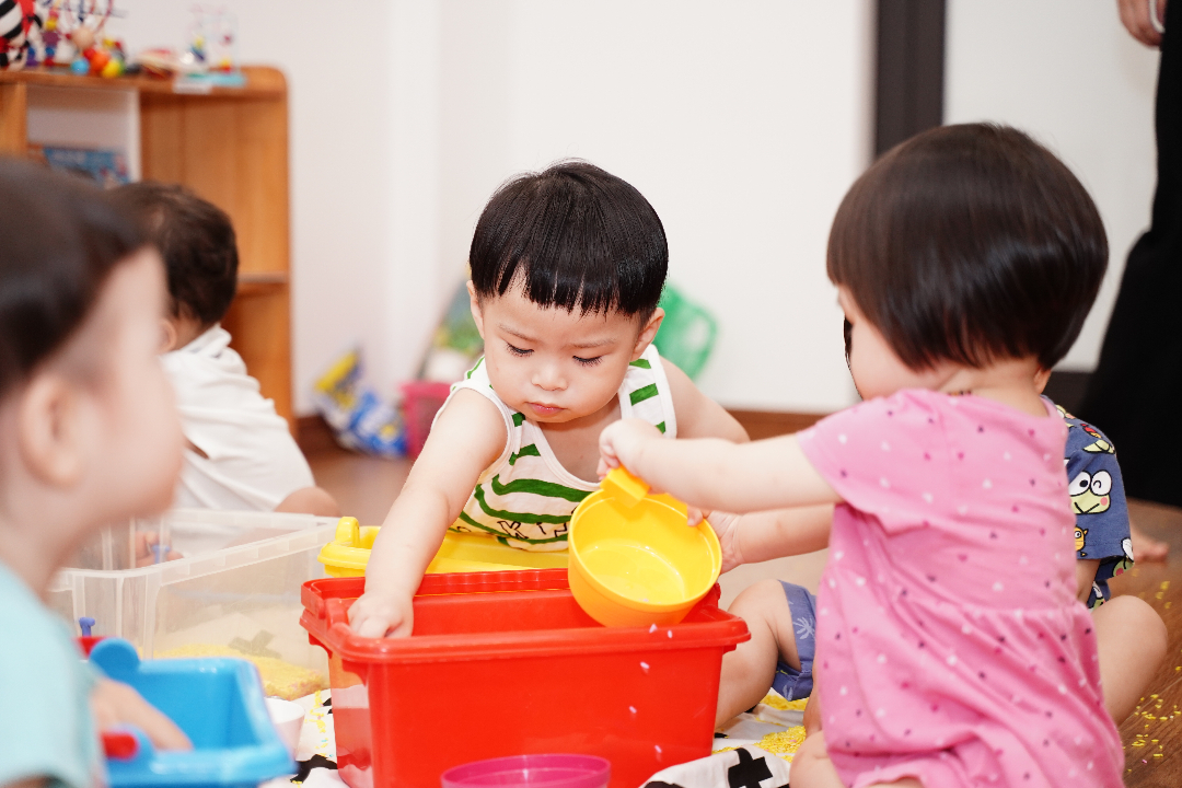 Chương trình học