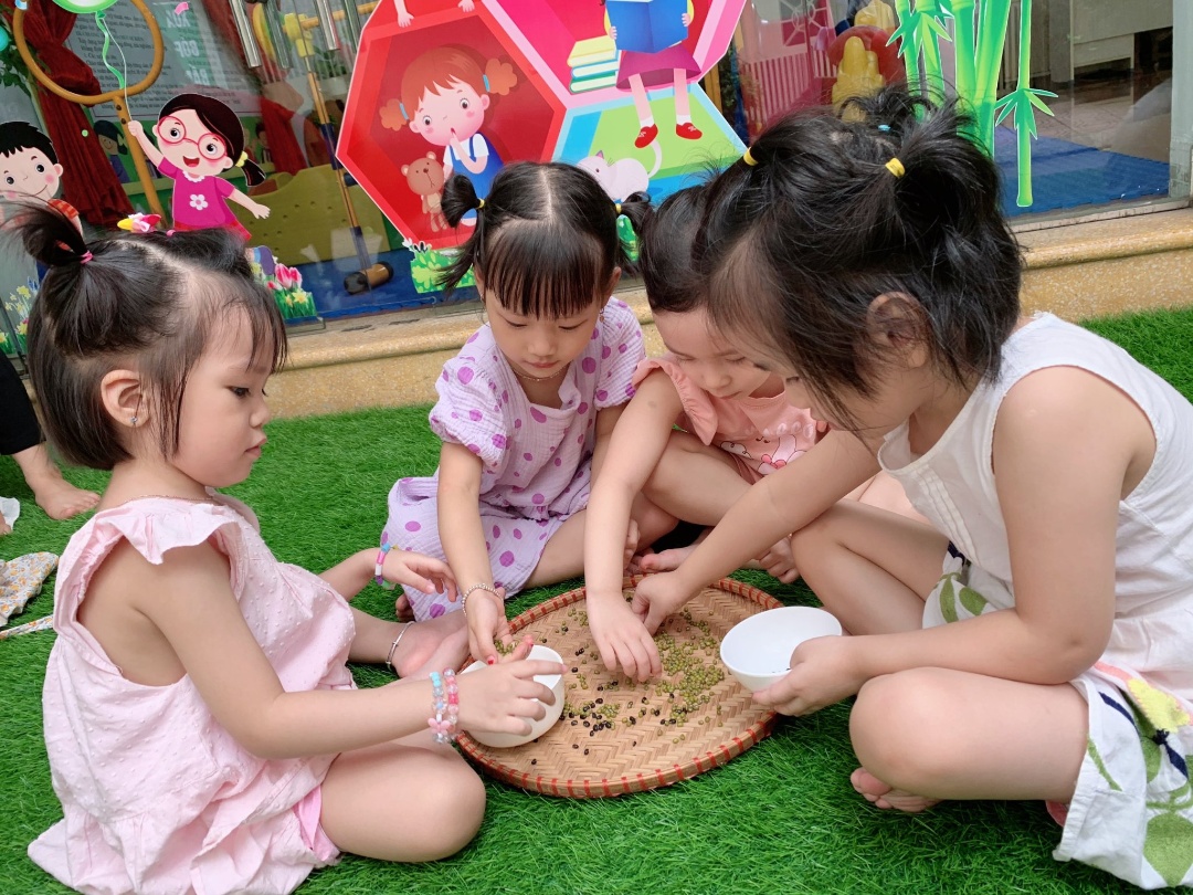 Chương trình học