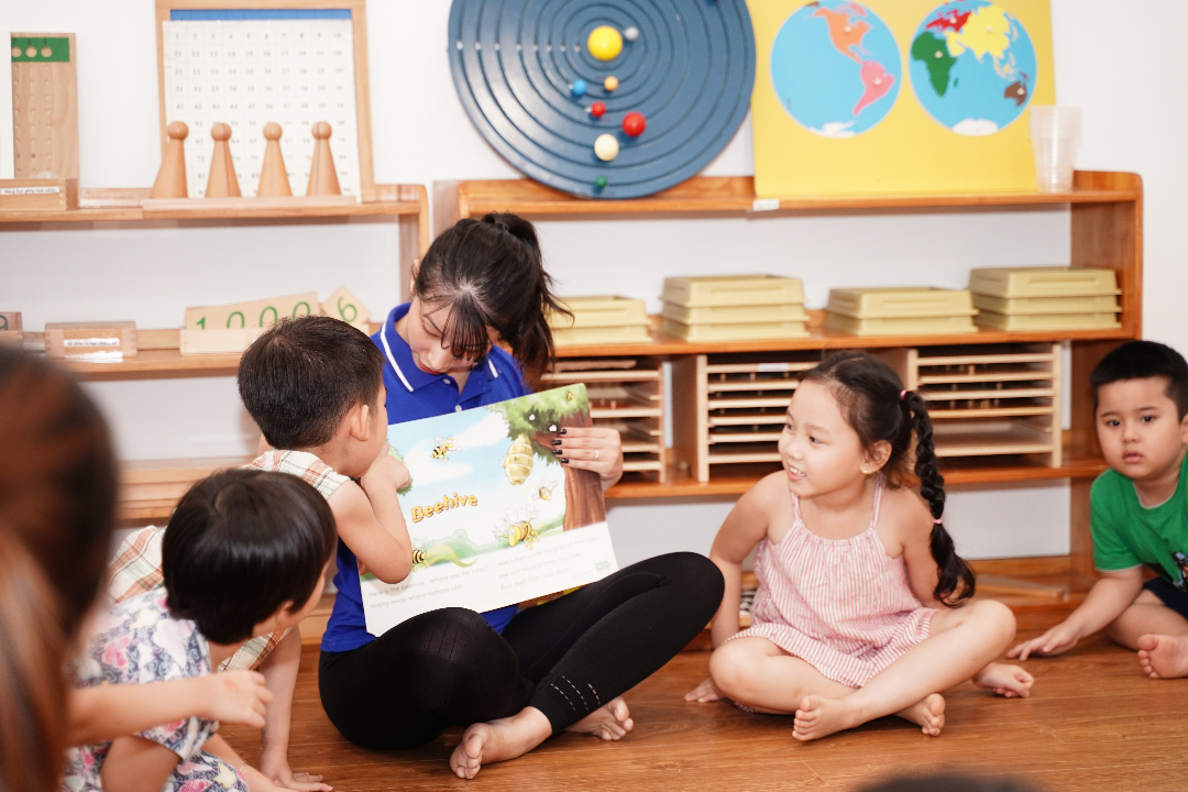 Chương trình học