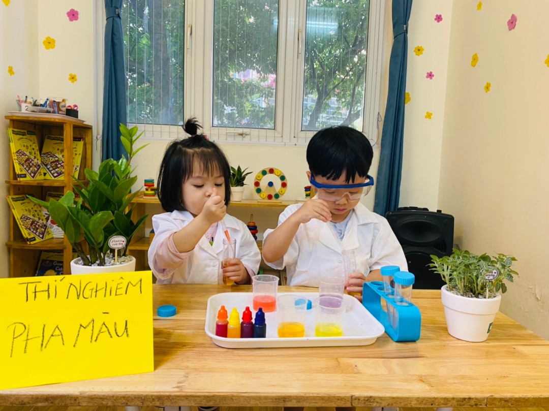 Chương trình học