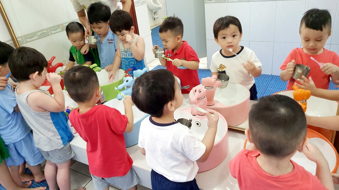 Chương trình học