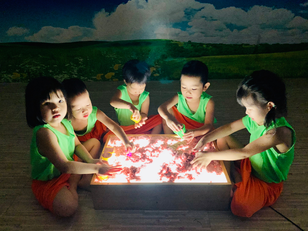 Chương trình học