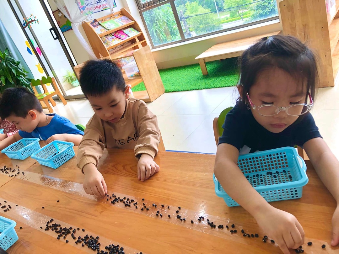 Chương trình học