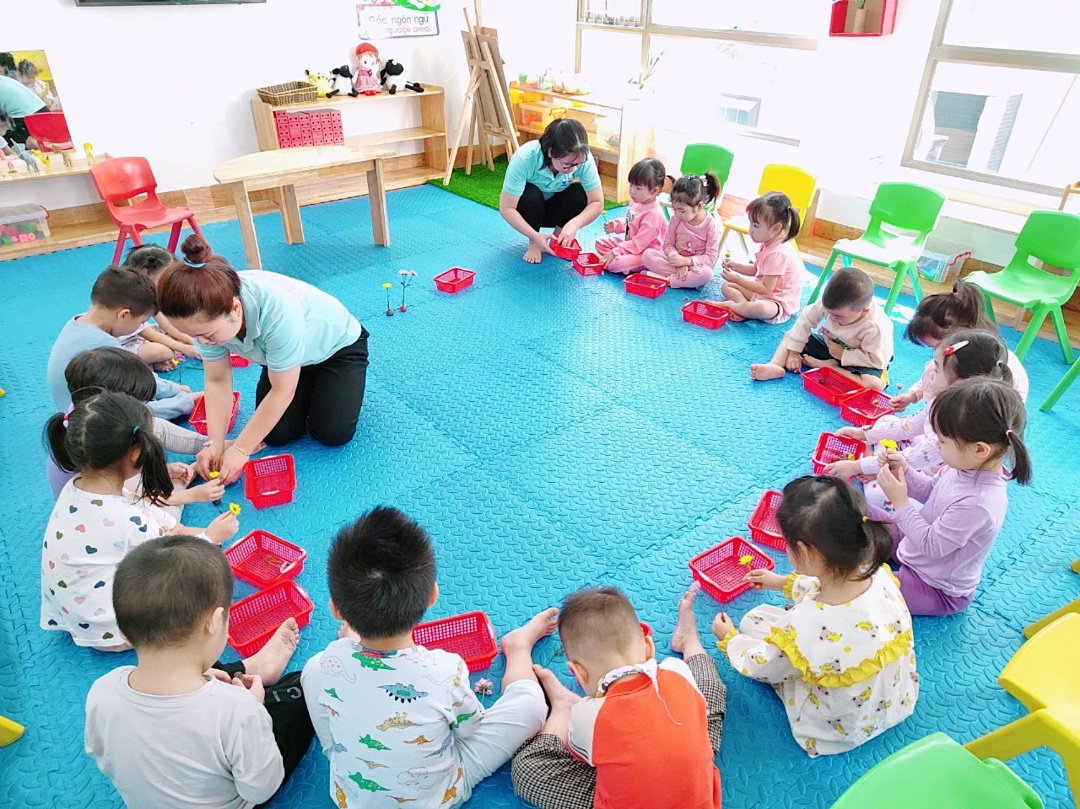 Chương trình học