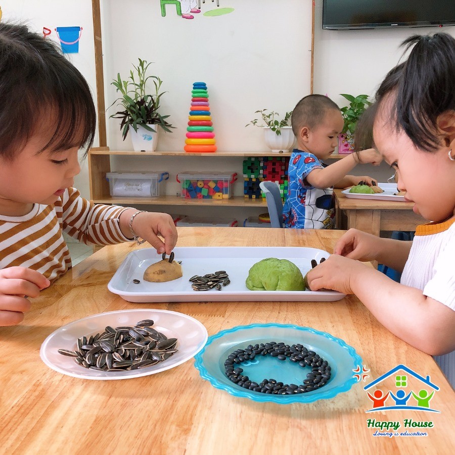 Chương trình học