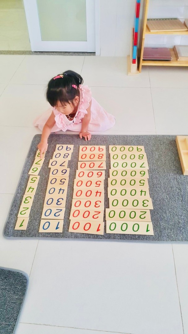 Chương trình học