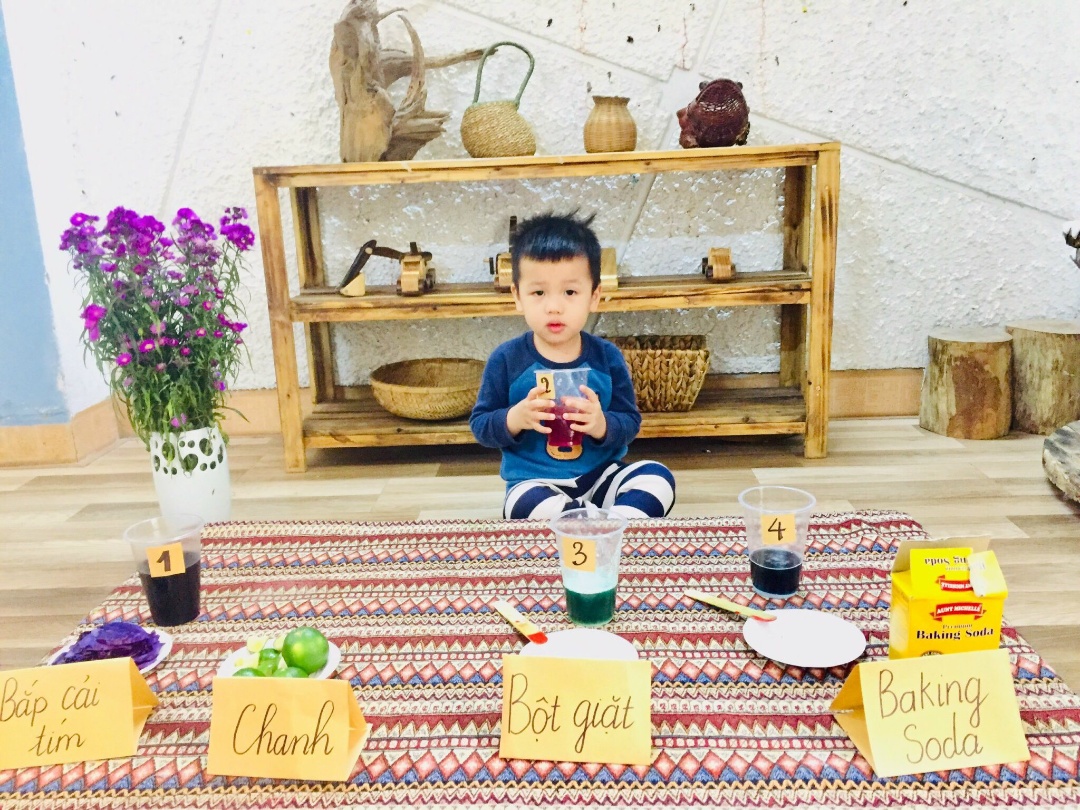 Chương trình học