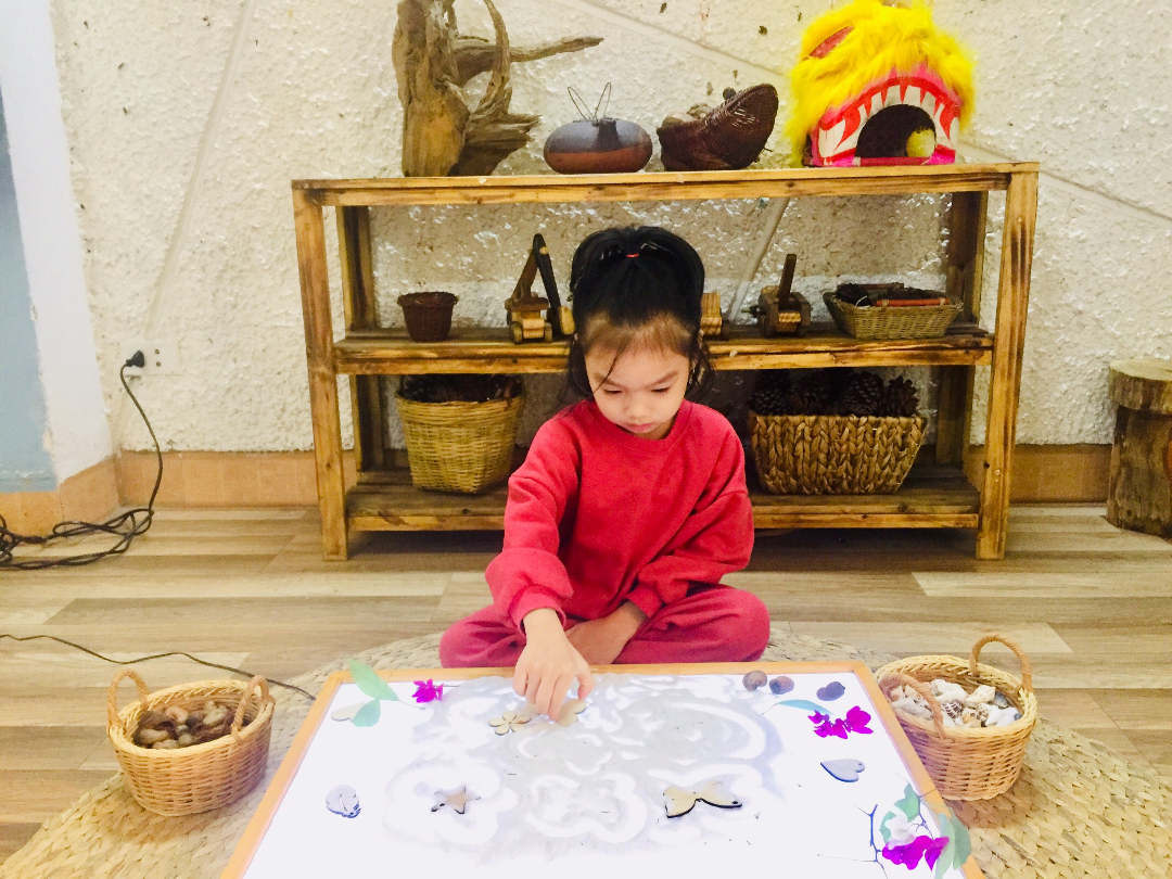 Chương trình học