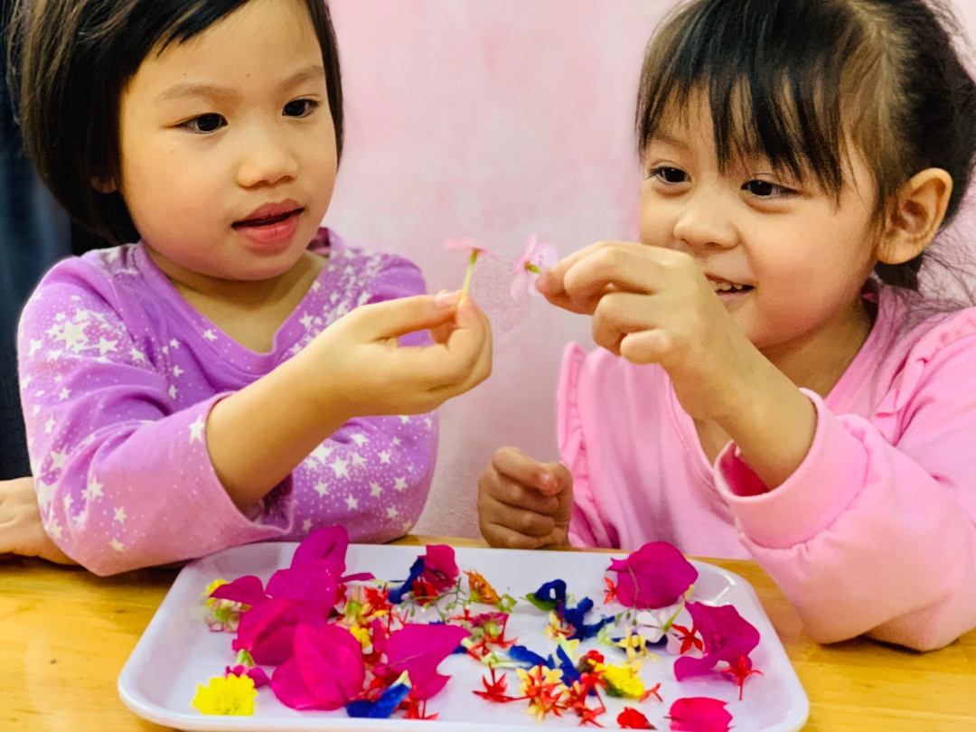 Chương trình học