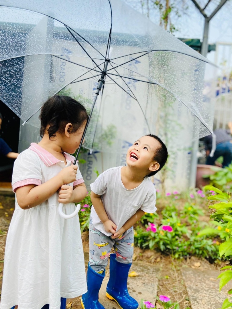 Chương trình học