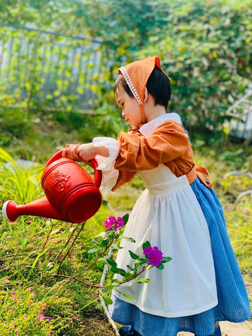 Chương trình học