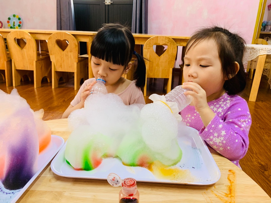 Chương trình học