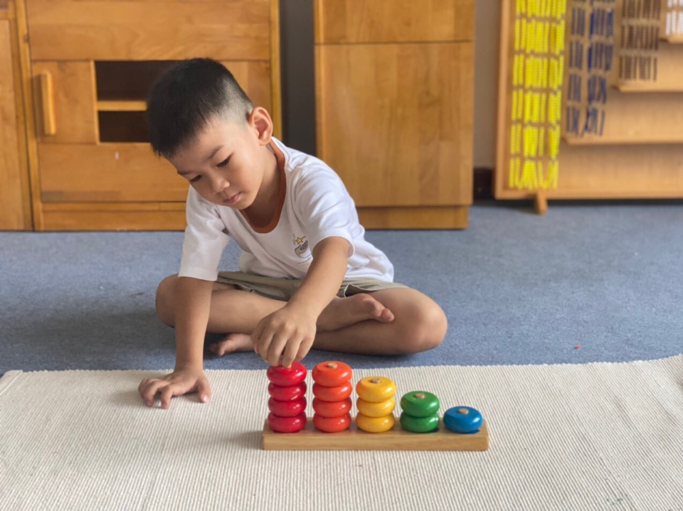 Chương trình học