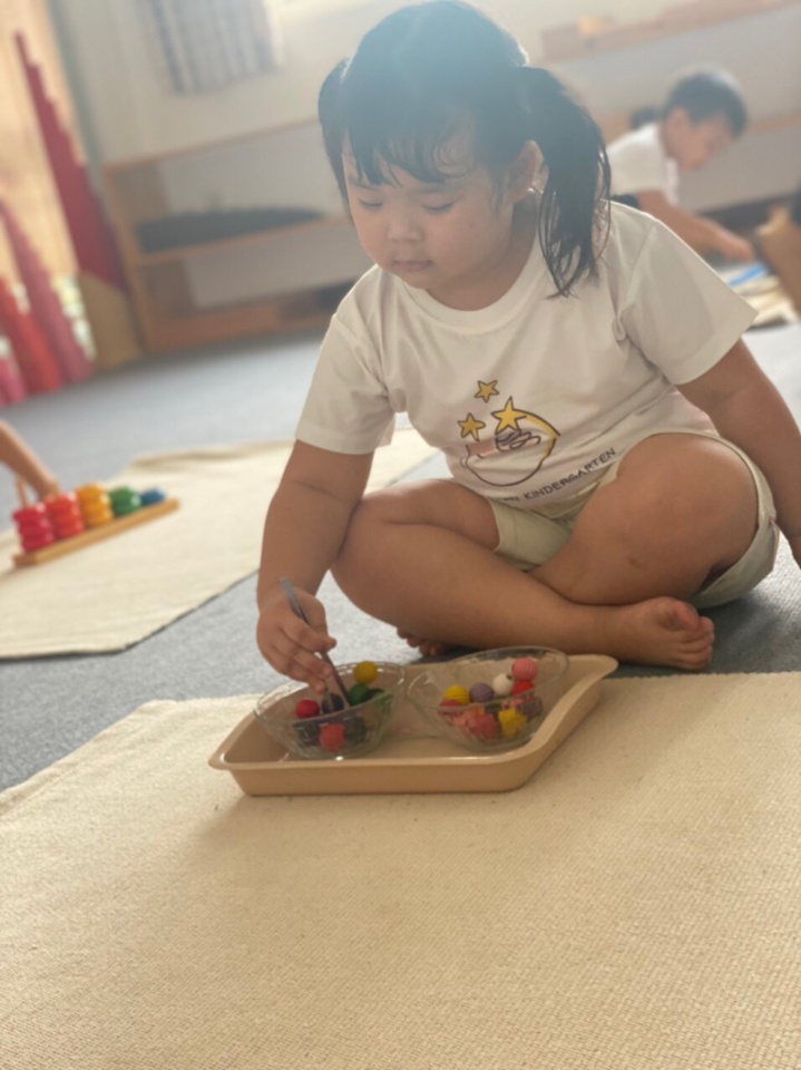 Chương trình học