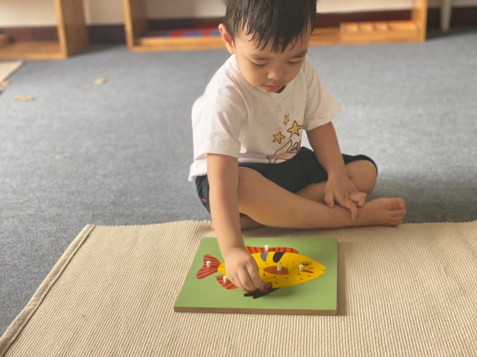 Chương trình học