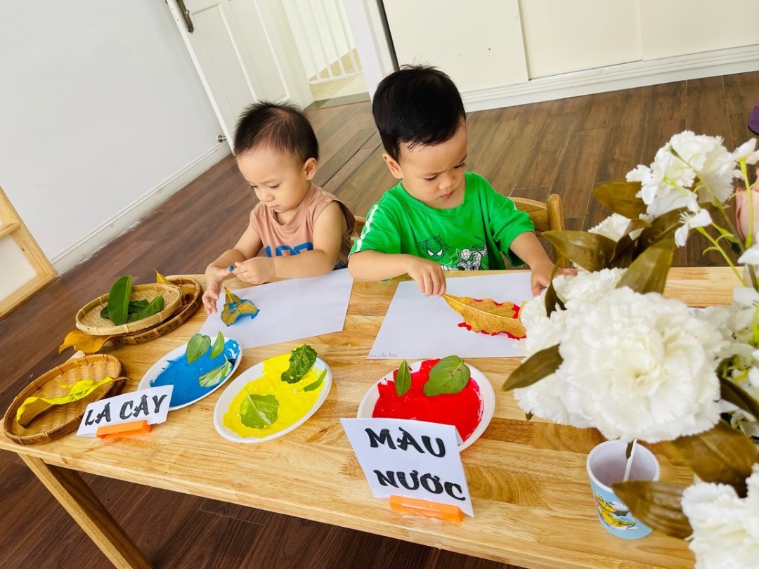 Chương trình học