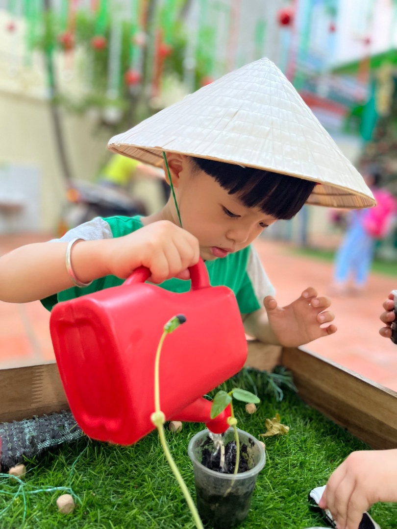 Chương trình học