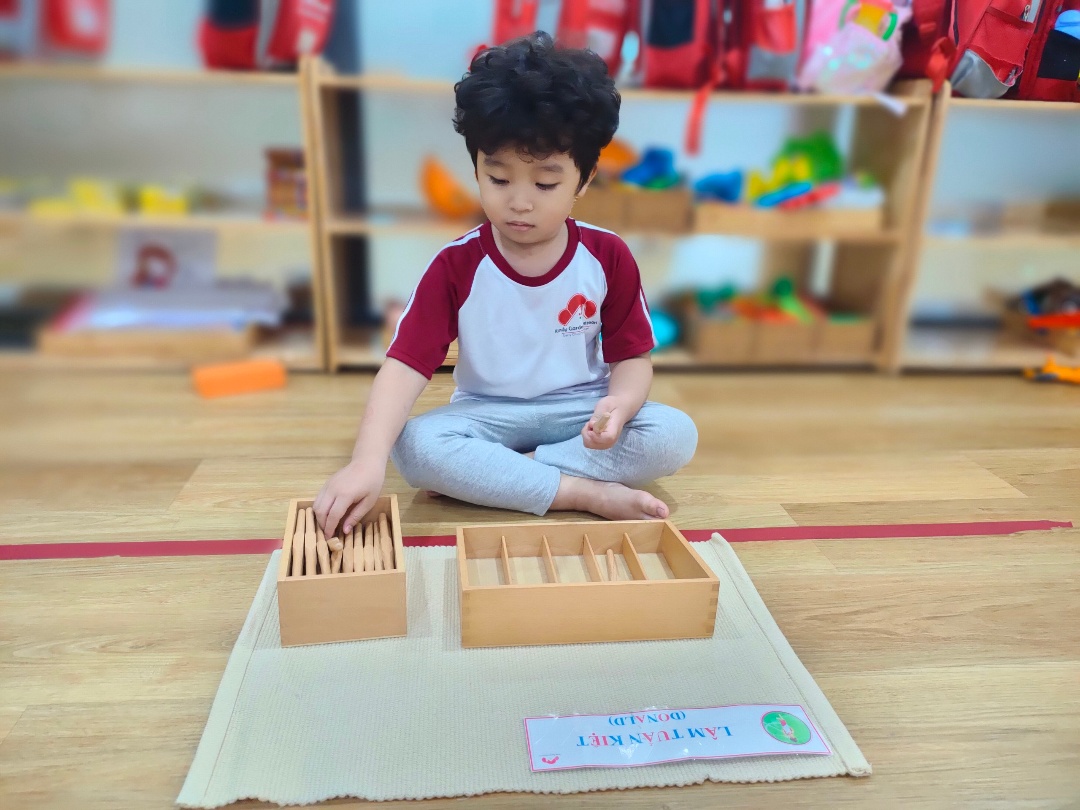 Chương trình học