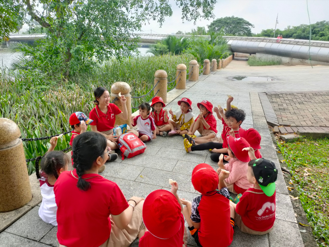 Chương trình học