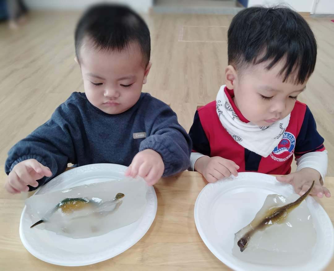 Chương trình học