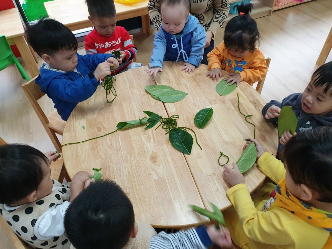 Chương trình học