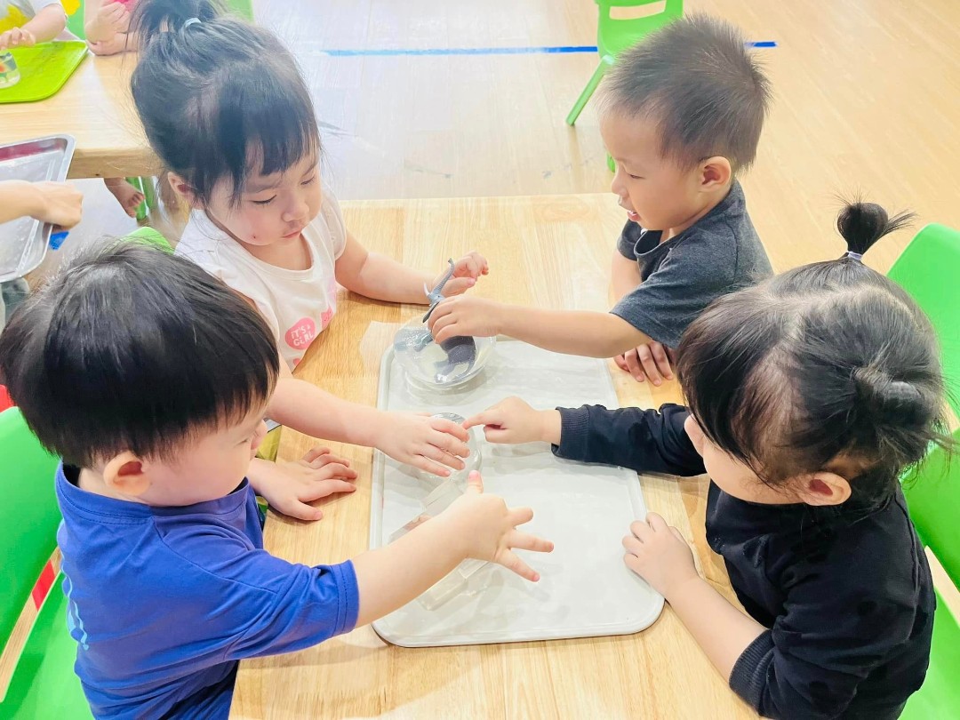 Chương trình học