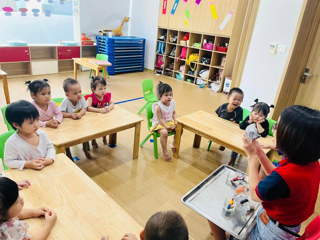 Chương trình học