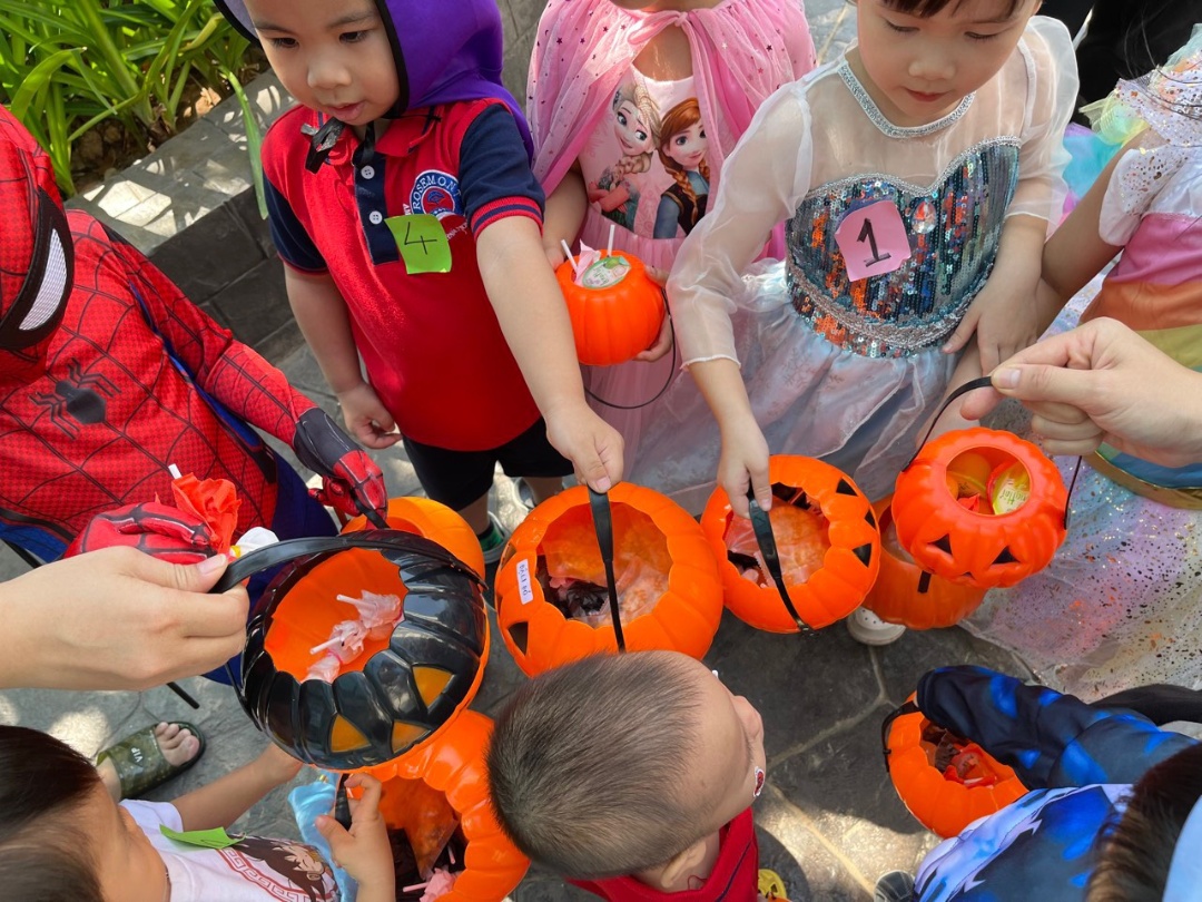 Chương trình học