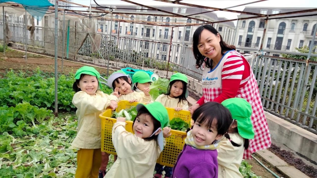 Chương trình học