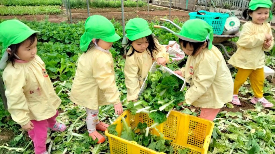 Chương trình học