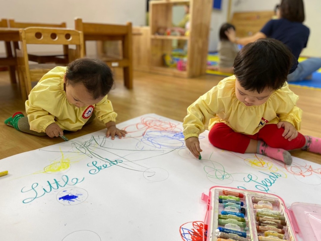 Chương trình học