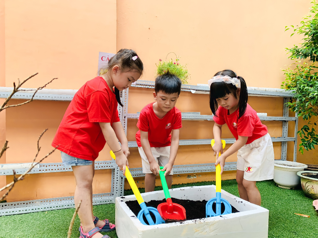 Chương trình học