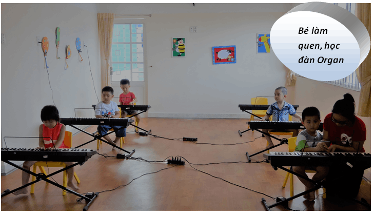 Chương trình học